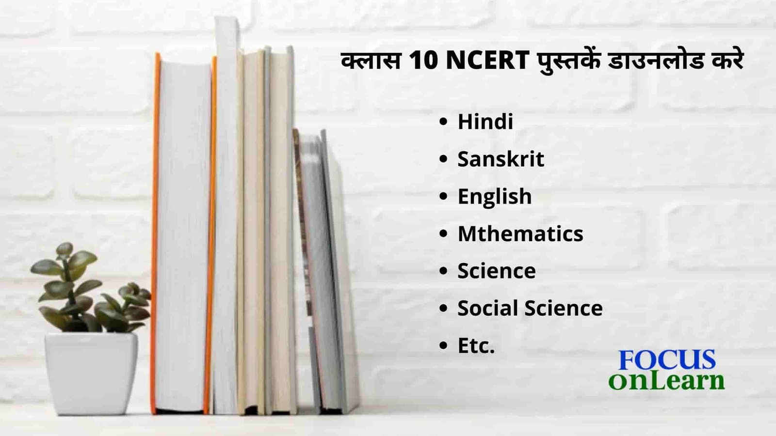NCERT Books for Class 10 in Hindi
