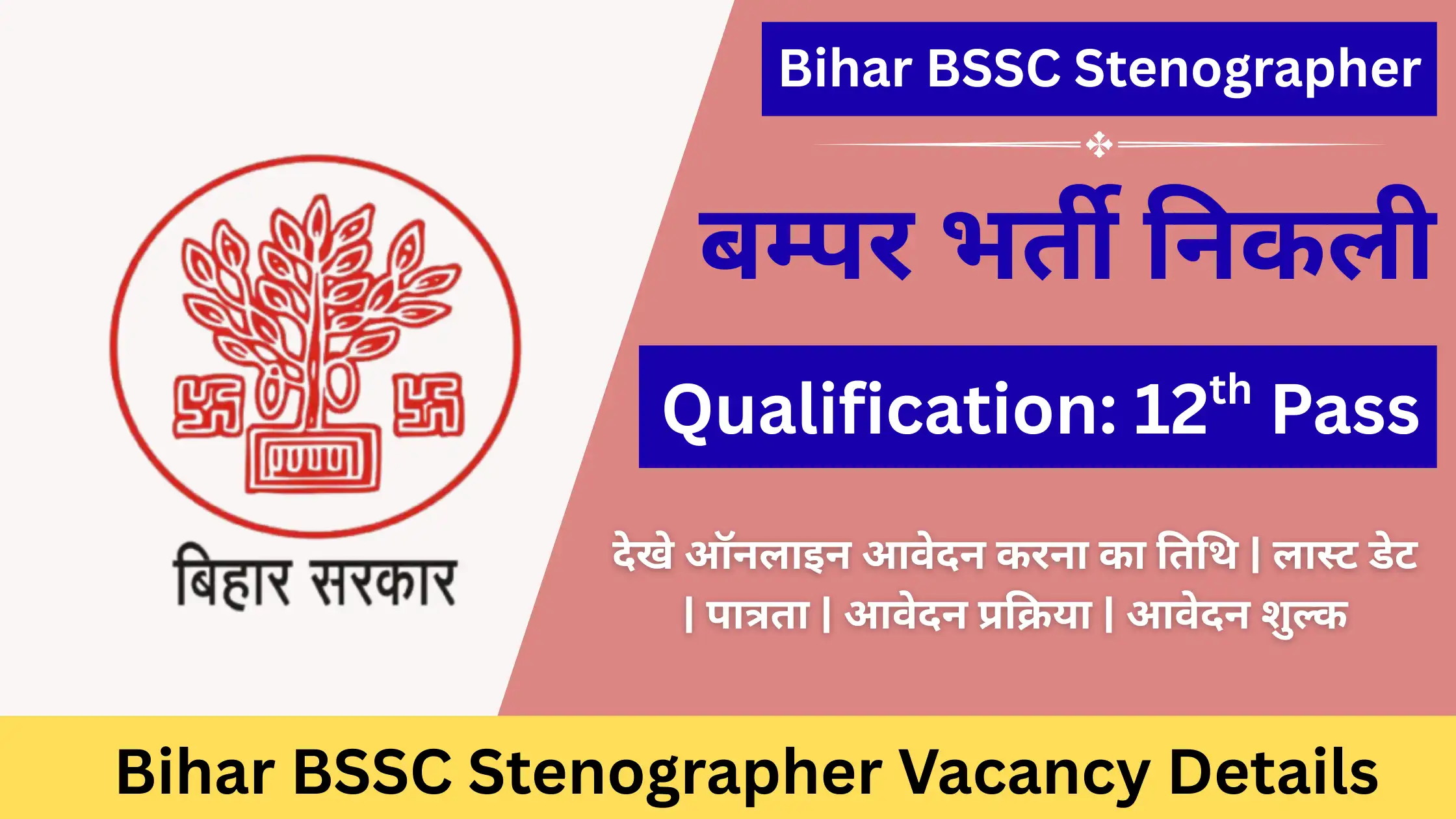Bihar BSSC Stenographer Vacancy